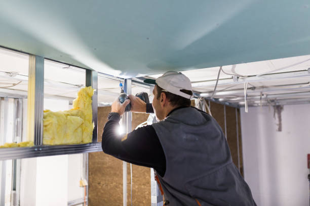 Best Eco-Friendly Insulation in Painesville, OH