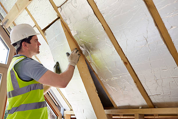 Best Specialized Insulation Services in Painesville, OH