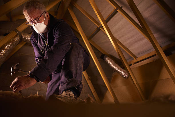 Best Insulation Maintenance and Repair in Painesville, OH